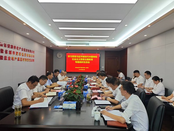 安徽鹽業(yè)地產(chǎn)集團(tuán)本部第一黨支部召開(kāi)主題教育專題組織生活會(huì)